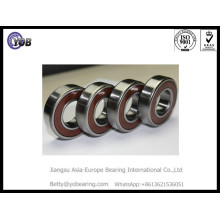 High Performance 60/22 Deep Groove Ball Bearing